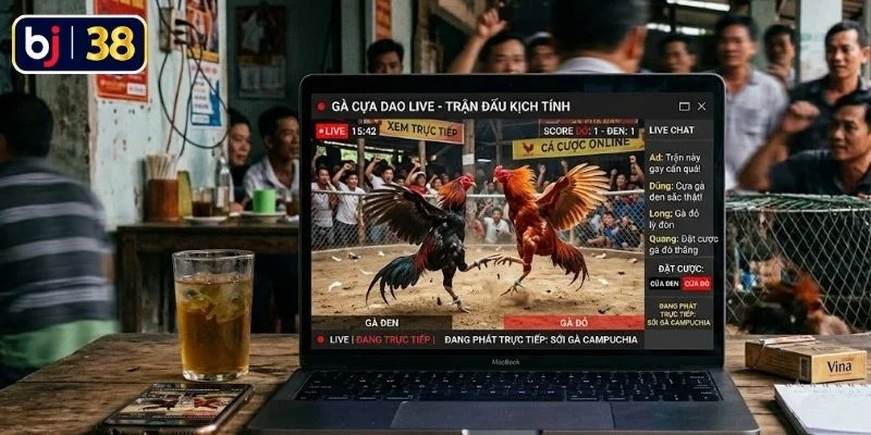 Kinh nghiệm cá cược đá gà cựa dao trúng đậm
