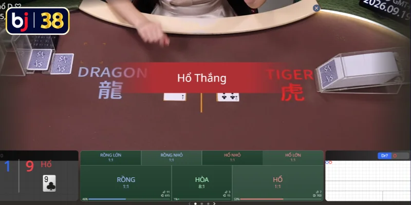 Mẹo tham gia Rồng Hổ cho người mới