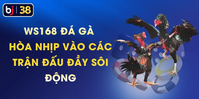 WS168 Đá Gà - Hòa Nhịp Vào Các Trận Đấu Đầy Sôi Động